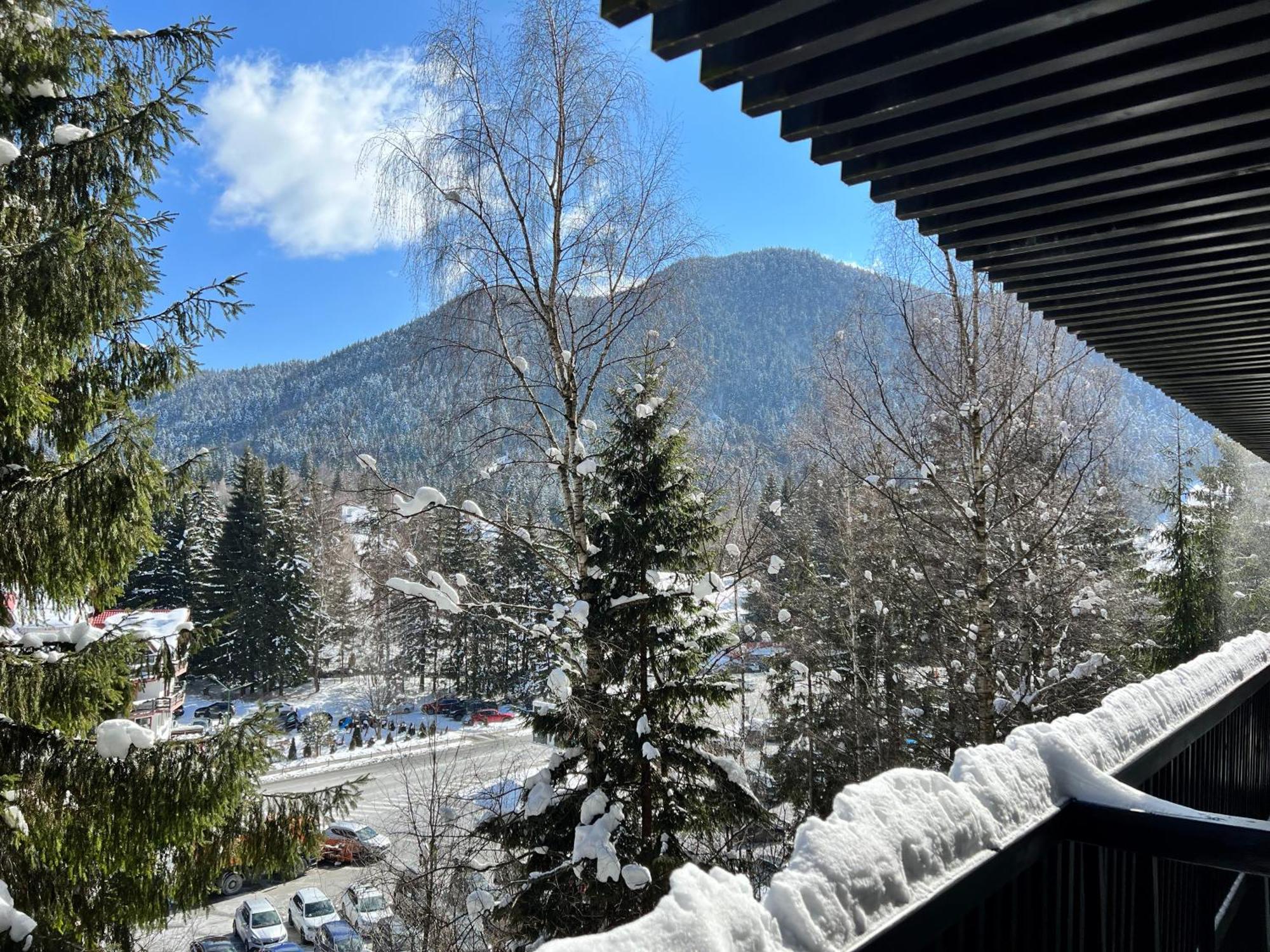 Apartment 2305 Hotel Alpin Poiana Brasov Exteriör bild